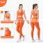 Wholesale New Ribbed Crop Top Shockproof Cross Back High Impact Sports Bra