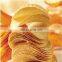 Nova Linha de Produ??o de Batatas Chips Pringle de Design, Máquina para Fabricar Batatas Chips, Planta de Biscoitos de Batata Crocantes Assados Compostos