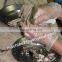HACCP DAF fish processing waste water plant best quality