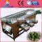 Green olive washing/drying/sorting machine manufacturer price of sorter fruit machine