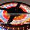 DC 12V LED StripIP65 60LED/MFiexble LightLED Strip RGB