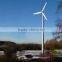 High-power RICHUAN 50KW Horizontal Axis Wind Power Genertor With CE Approved