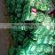 NYLON MONOFILAMENT FISHING NET