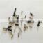 Hot Selling Manufacture Stainless Steel Drywall Screw