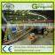fruit photoelectronic grading line