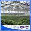 Hot Sell Aluminum Frame Glass Greenhouse