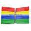 Colored Plastic Clothes Pins