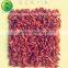 2015 dried goji berries premium quality