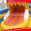 Brighted-color customized cartoon theme outdoor inflatable slide water slide