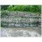 China Hot Sale Electro Galvanized Wire Mesh