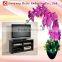 Hot Sale Modern Stainless Steel Leg 5-layer Black Tempered Glass TV Stand Cabinet Table