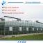 High quality Venlo Glass Greenhouse for flowers