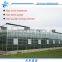 Venlo Span Greenhouse for agriculture