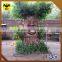 HLT Christmas tree decoration animatronic talking tree                        
                                                Quality Choice