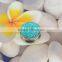 2016 new arrival body jewelry wholesale, plugs body jewelry, body jewelry