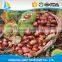 Common Cultivation Type and gunny bag Packaging china raw fresh chestnut