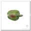 Flora Bunda BELL PEPPER Artificial Vegetable