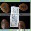 Engraved pebble/Engraved cobblestone/Engraved river stone