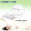 Latex Pillow/ Factory Pillow/ Best Pillow