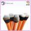 High quality Beauty girl 5pcs cheap Cosmetic Makeup Brush Set