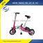 Fashion 12 inch mini foldable e-bike with brushless 250w motor folding electric bike can put in car