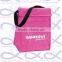 Custom Logo Cooler Lunch Bag Picnic Cooler Hand Bag