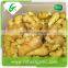 Chinese fresh ginger seeds for sale