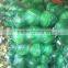 New crop Flat cabbage directly from the factory