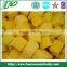 Frozen/IQF mango dices 2016 new crop