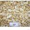 high quality VIETNAM CASHEW NUT