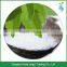 New Natural Stevia Powder Stevia Extract
