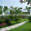Natural plants type Graden landscape