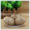 Natural Fermented Black Garlic Extract