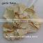 white garlic flake world exporters in china