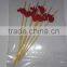 Decorative fruit toothpicks with colorful fruit logo