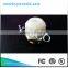 Professional Garden Supplier Beautiful Plastic Nozzle Tube