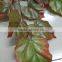Guangzhou Manufacturer Autumn artificial foliage tree leaves wholesale