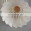 Top Grade Class B Goose Feather Nature White Outdoor Fleet Badminton