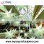 Wholesale Inflatable Wedding Light Star Decoration