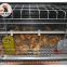 Salvador Poultry Farming Baby Chick Cage & A Frame Automatic Small Chicken Cage & Pullet Coop with Feed Trough for 5000 Chicks in Chicken Shed