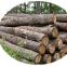 High Speed 8FT Wood Log Rounder Debarker Machine