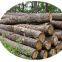 High Speed 8FT Wood Log Rounder Debarker Machine