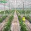 Garden Greenhouse Coconut Cultivation Equipment/Hydroponics Growing Systems