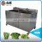 Hot sale stainless steel blueberry fruit washing machine lemon washer
