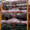 Paddy Knives / Open Knives Agrimate Rotary Tiller Cultivation 2.2m / 2.4m Extemal