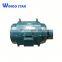 3000 Hp High Voltage Electric Wound Motor