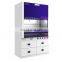 Laboratory medicine Fume cupboard  medical acid resistant fume hood