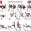 POWER BODY SHAPER PLANK 12 IN 1 AB BODYROBUST