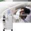 Factory CE Approved cheap  medical portable   oxygen-concentrator  10L