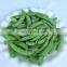 Sinocharm New Season Fresh Crisp Organic Frozen Sugar Snap Peas IQF Sugar Snap Peas
